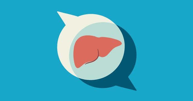 Two speech bubbles overlap with a liver in the center