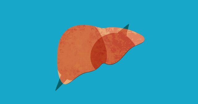 liver with speech bubbles in it